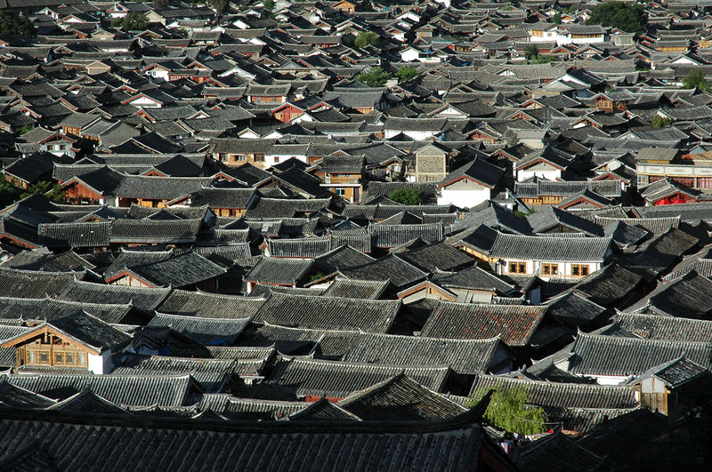 One Year Around the World, photo 10