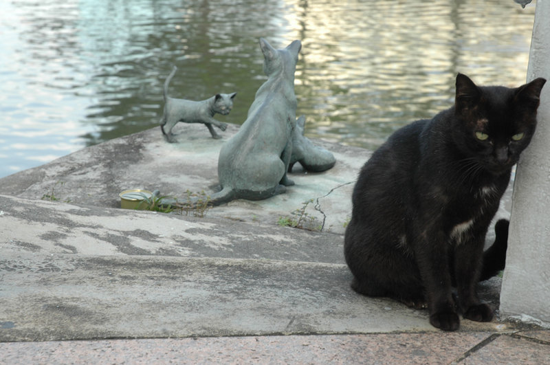 One Year Around the World, photo 22